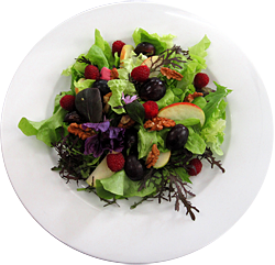 files/pso/salat.png Salat