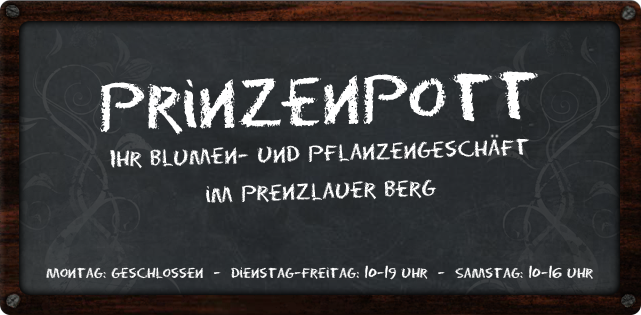 Prinzenpott-Logo